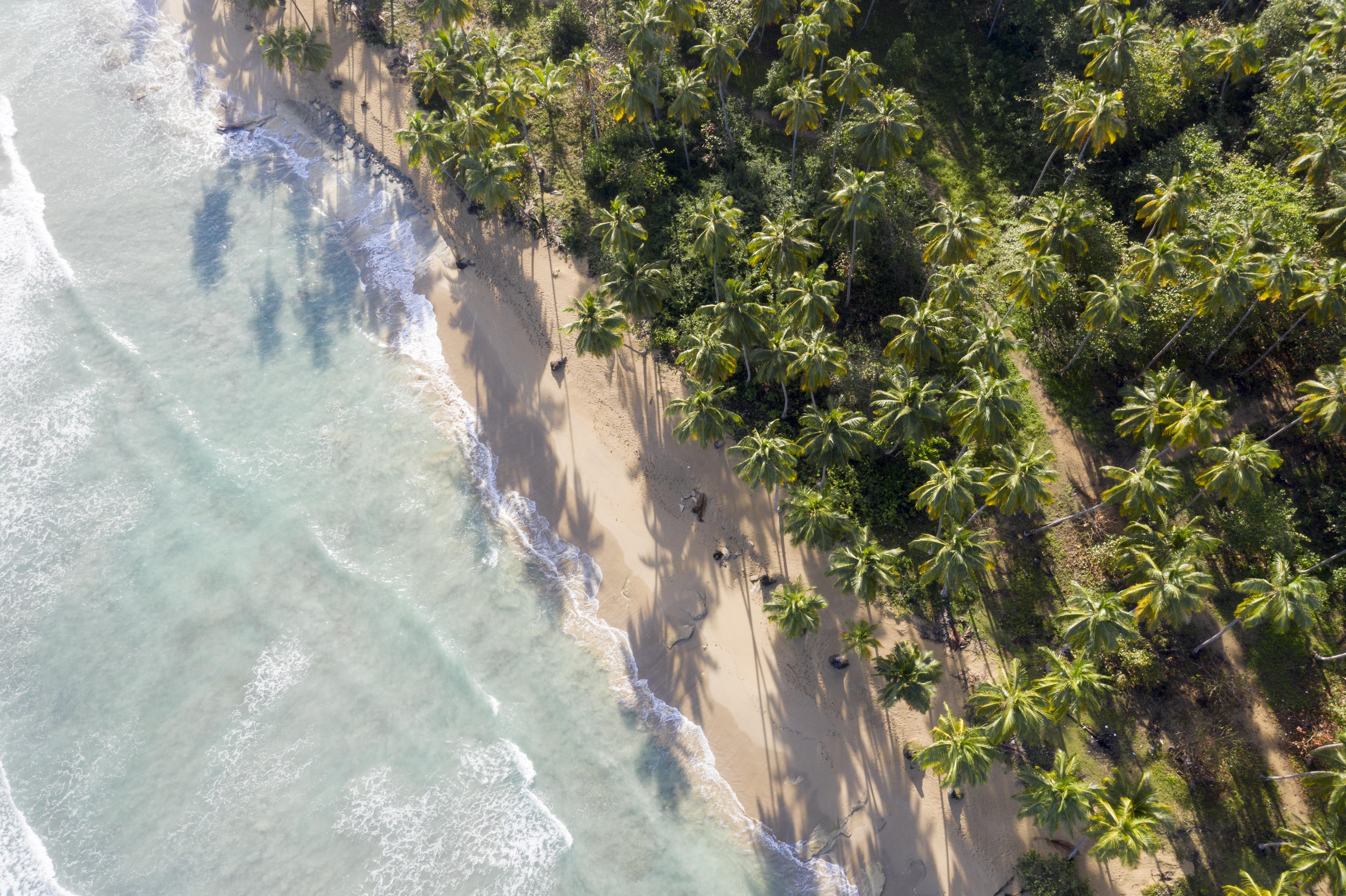 Saman Boutique Hotel By Mint Las Terrenas Exterior photo